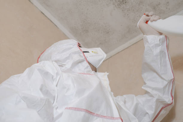 Mold Testing and Removal in Lebanon, NH